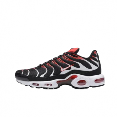 Nike Air Max Plus TN Negro y Blanco