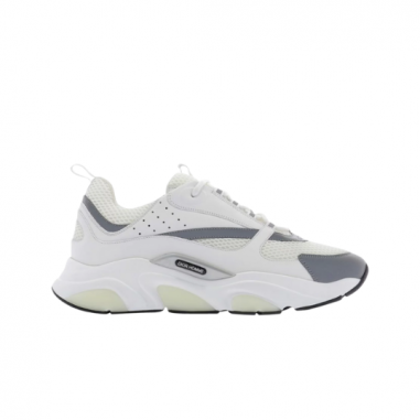 Dior B22 White Grey