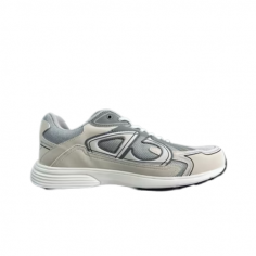 Dior B30 Grises