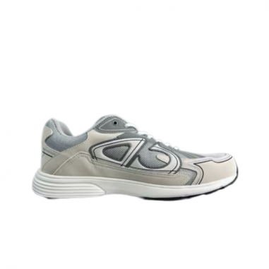 Dior B30 Grises