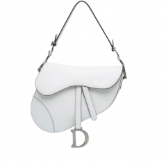 Bolso Dior Saddle
