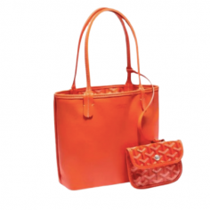 Bolso Goyard