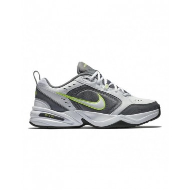 Nike Air Monarch Grises